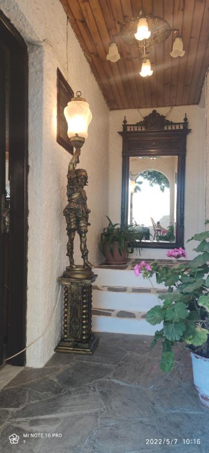 Odysseas Hotel Samos Ngoại thất bức ảnh