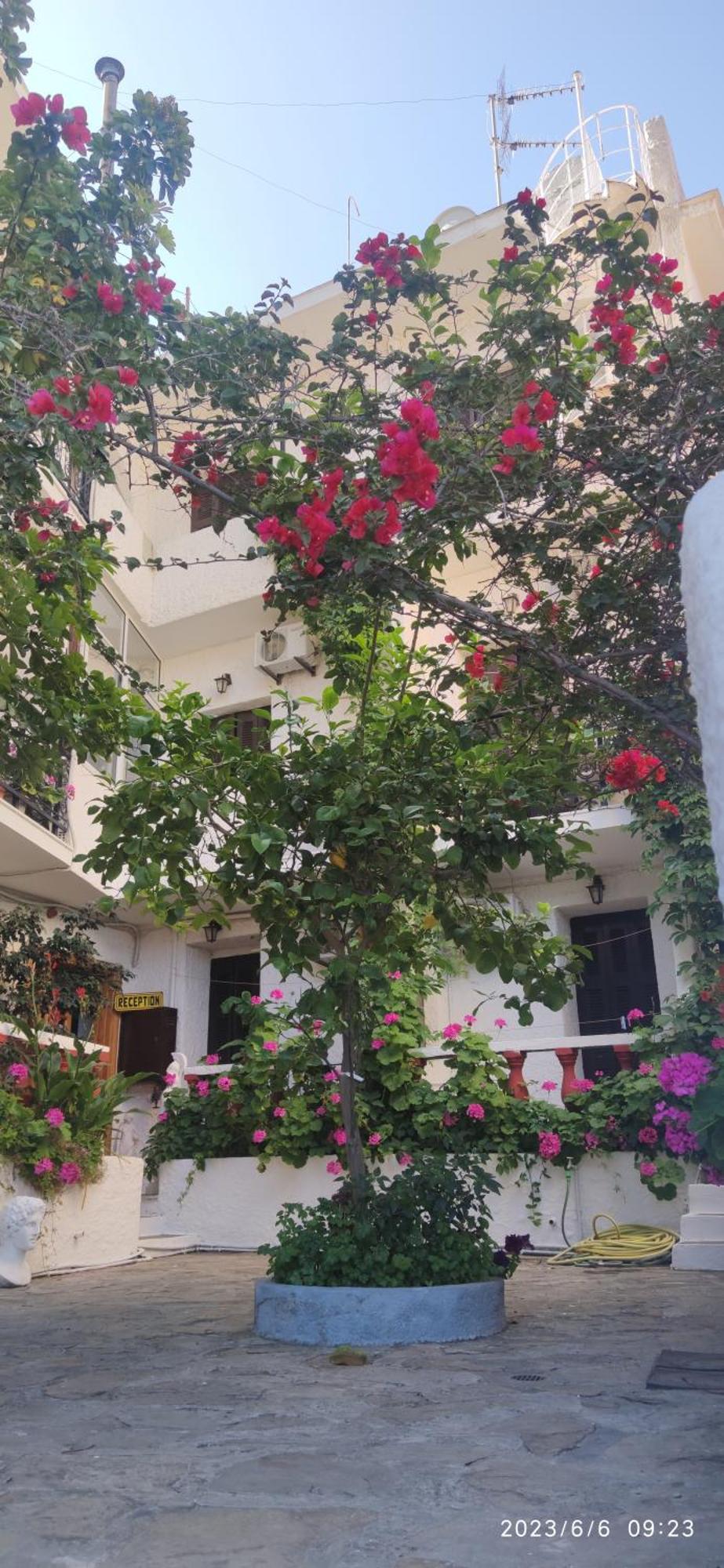 Odysseas Hotel Samos Ngoại thất bức ảnh